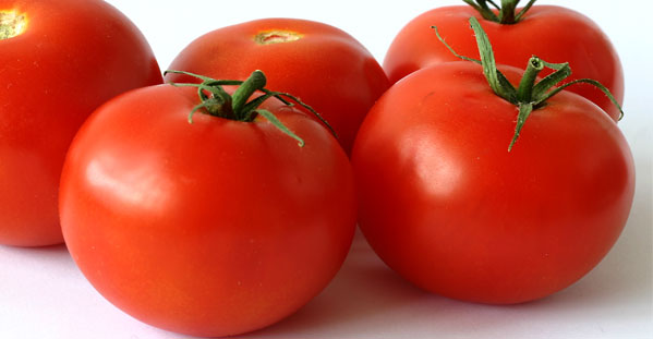 Tomato — tomatoes